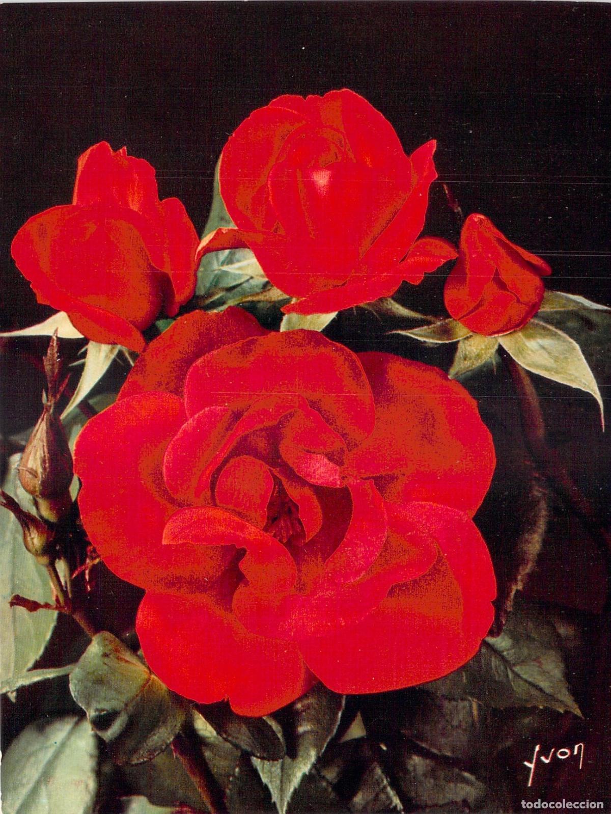 Postkarten: Postal Ilustrada con Rosas Rojas Pr&eacute;sident L. Seize de Yvon