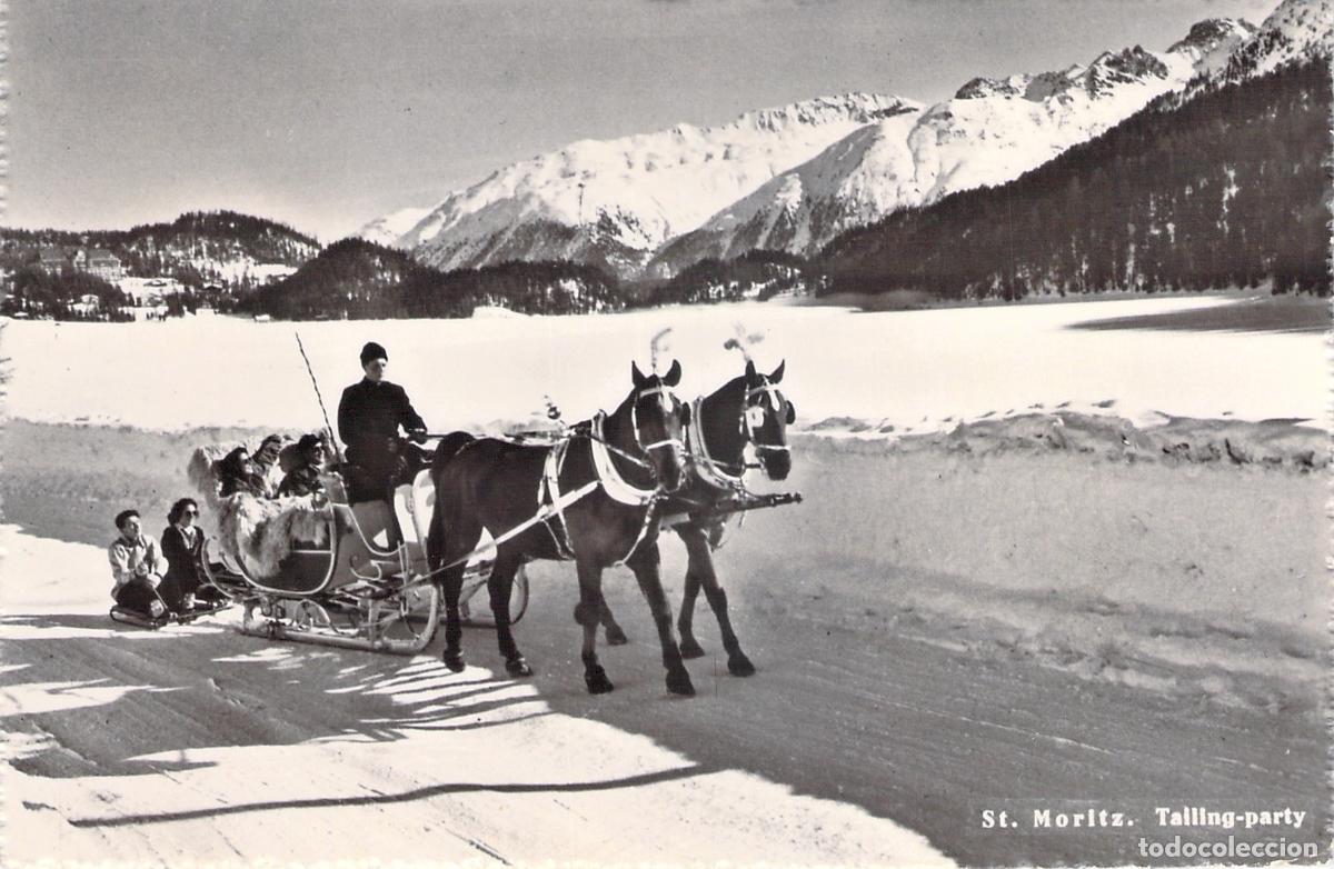 Postales: Postal de St. Moritz Suiza Trineo de Caballos y Paisaje Nevado
