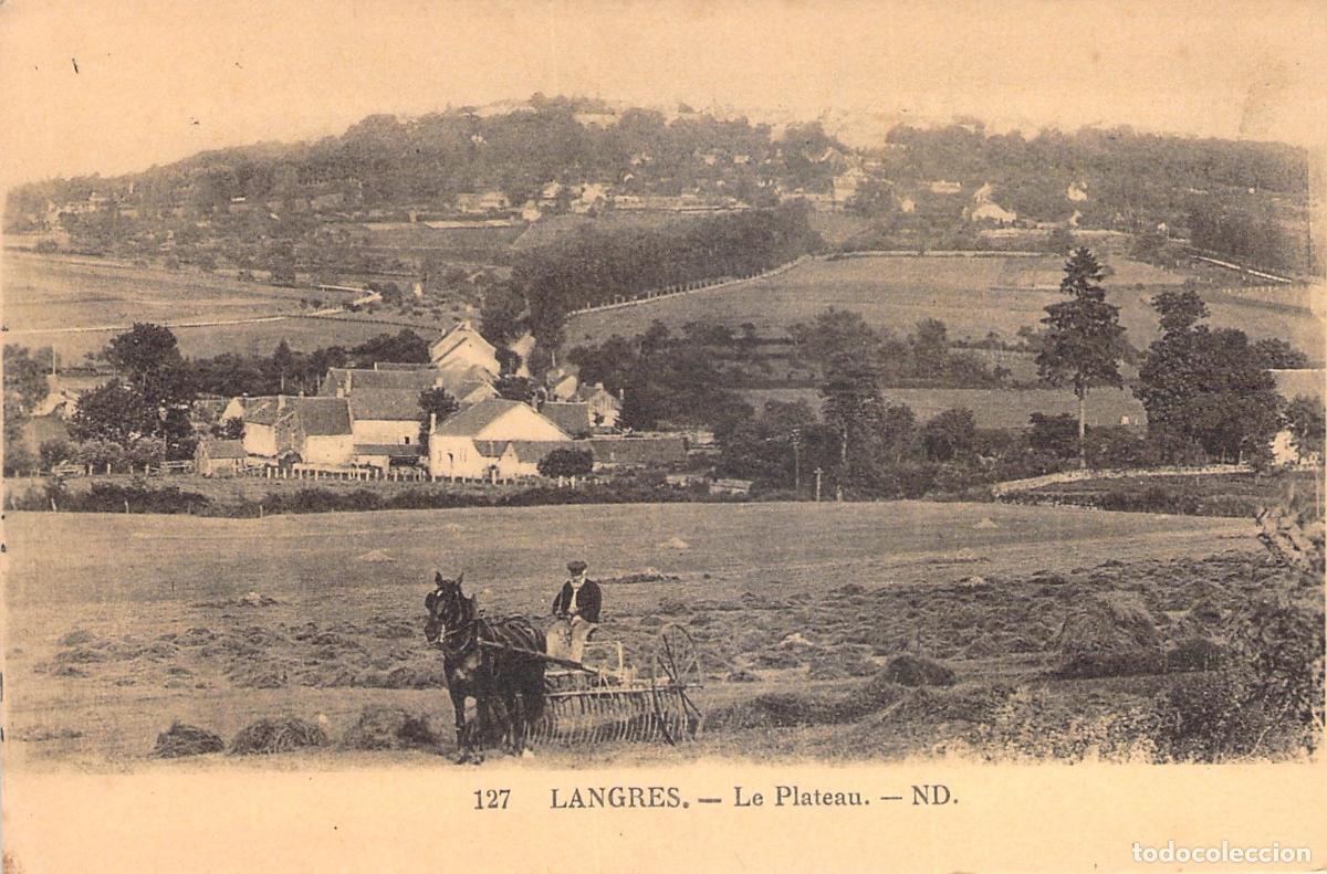 Postales: Postal de Langres, Francia - Paisaje Rural Le Plateau y Agricultor