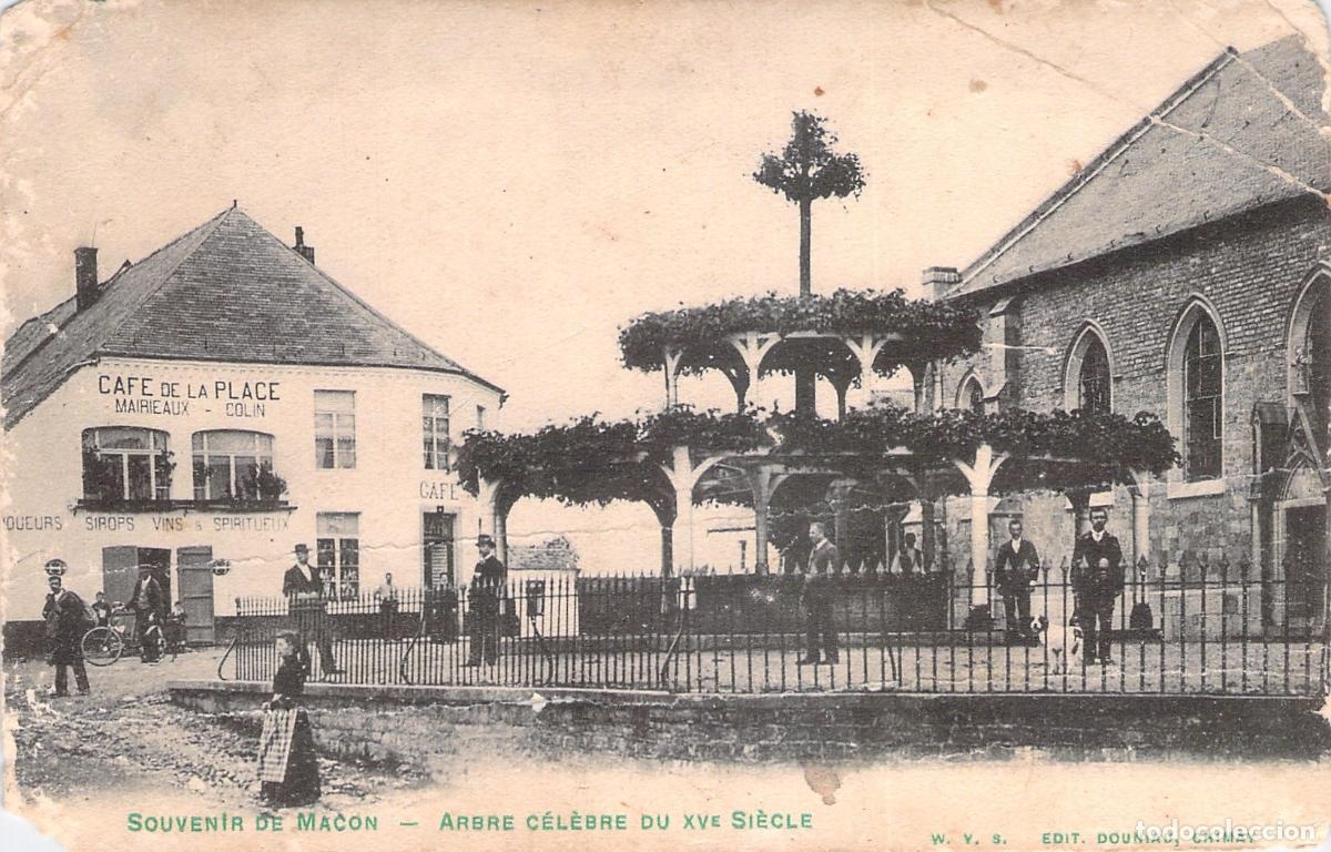 Postales: Postal Macon B&eacute;lgica Plaza con Caf&eacute; y &Aacute;rbol del Siglo XV