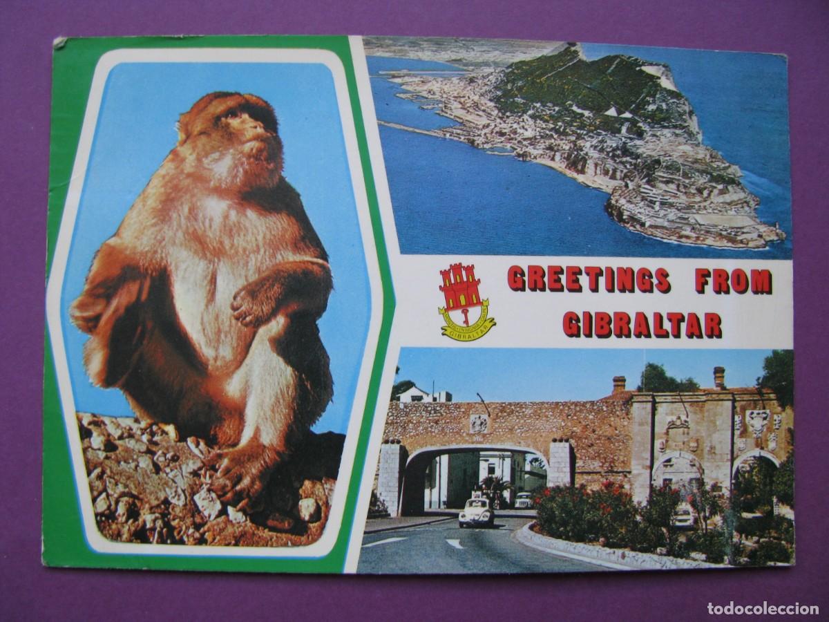 Postales: POSTAL DE GIBRALTAR. GREETINGS FROM GIBRALTAR. CIRCULADA