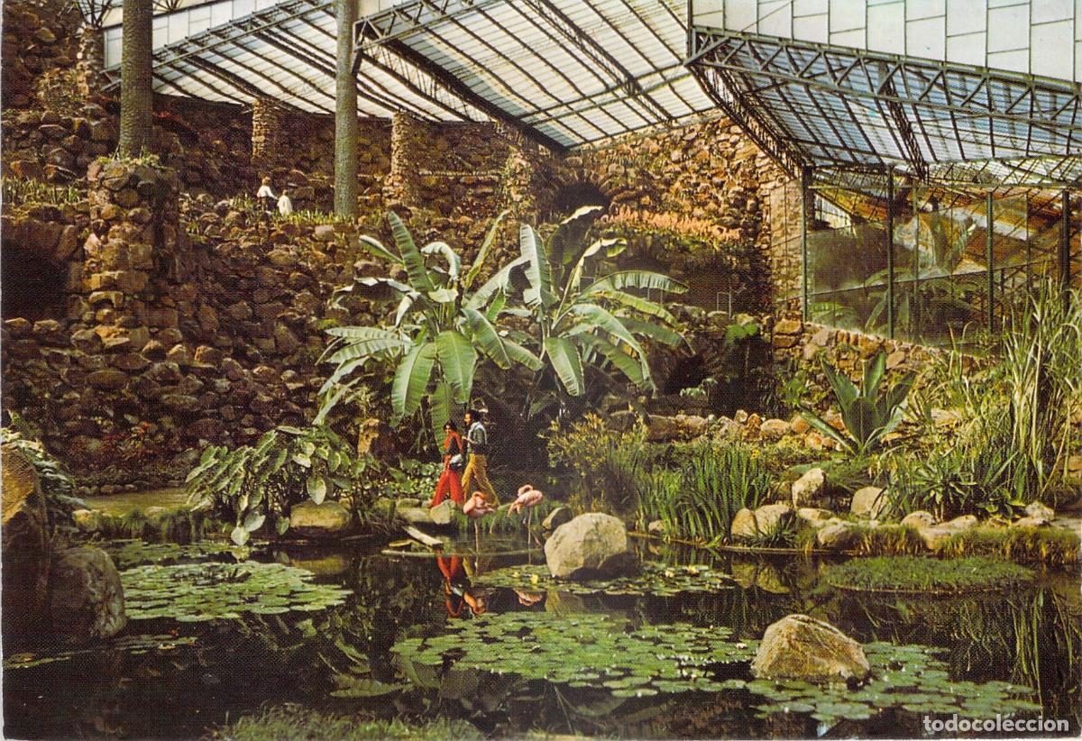 Postales: Postal de la Estufa Fria en Lisboa, Portugal