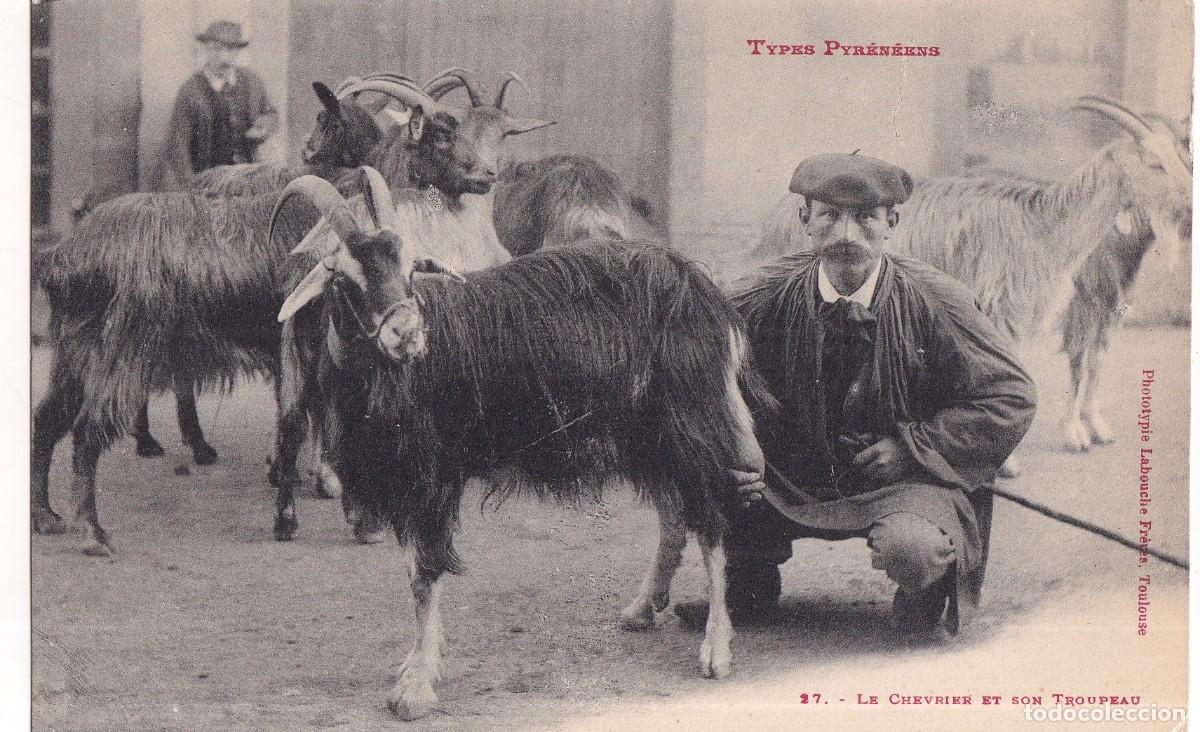 Postales: Types Pyrenees. 27 Le Chevrier. El cabrero y su reba&ntilde;o. Sin circular