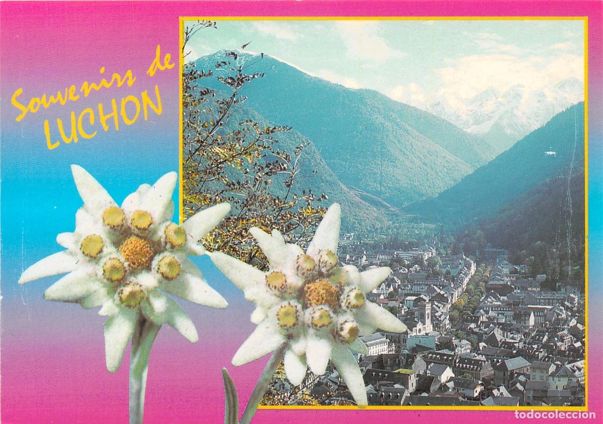Postales: Postal de Souvenirs de Luchon con Flores de Edelweiss y Vista de los Pirineos
