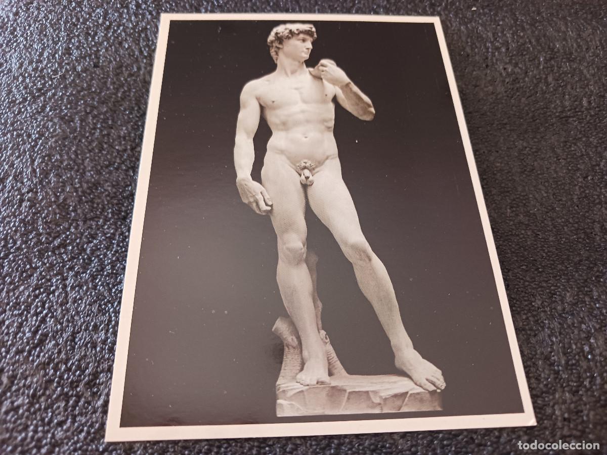 Postales: firenze, david de michelangelo - Foto 1