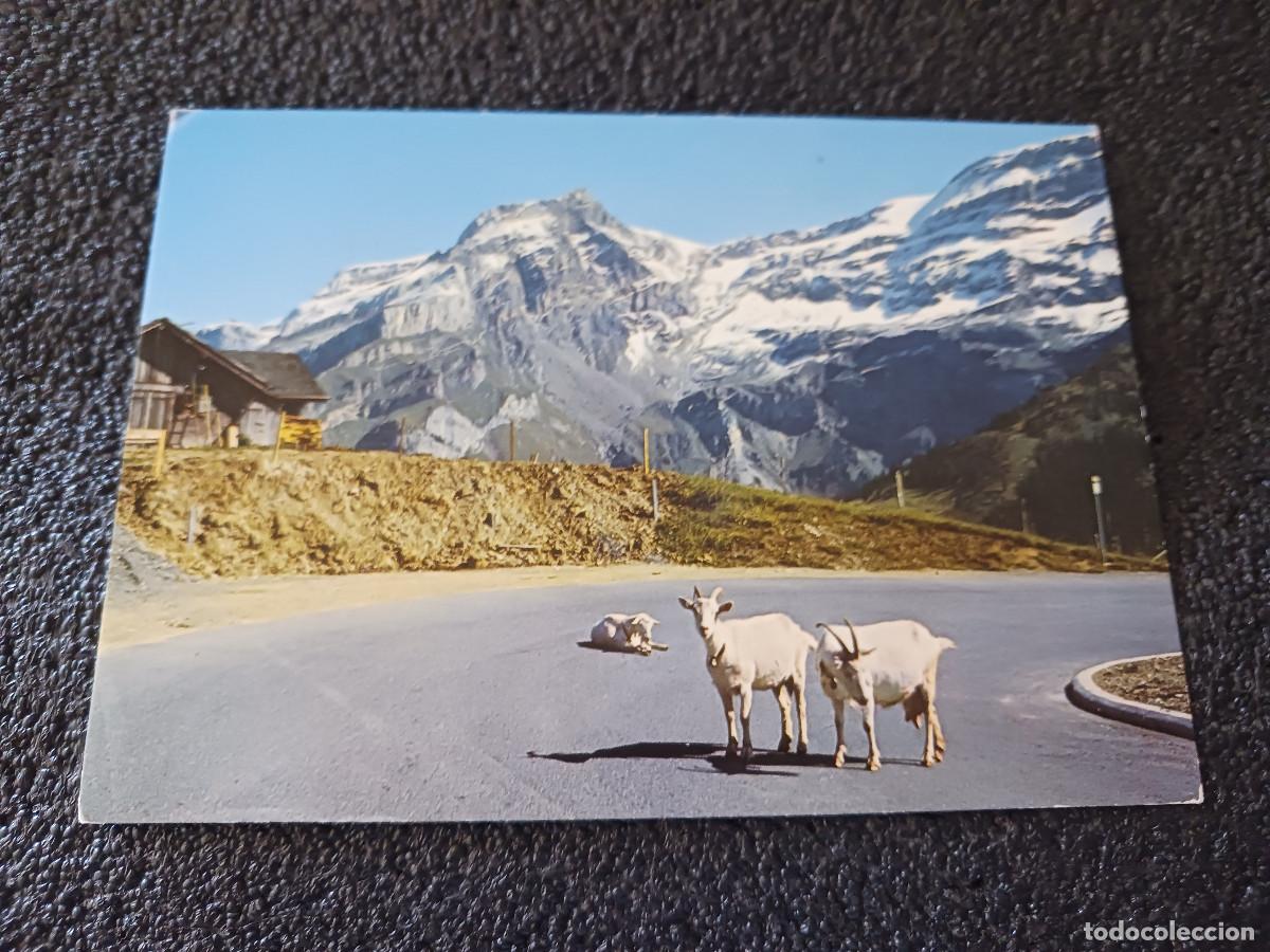 Postales: suiza, col de la croix, circulada 1974