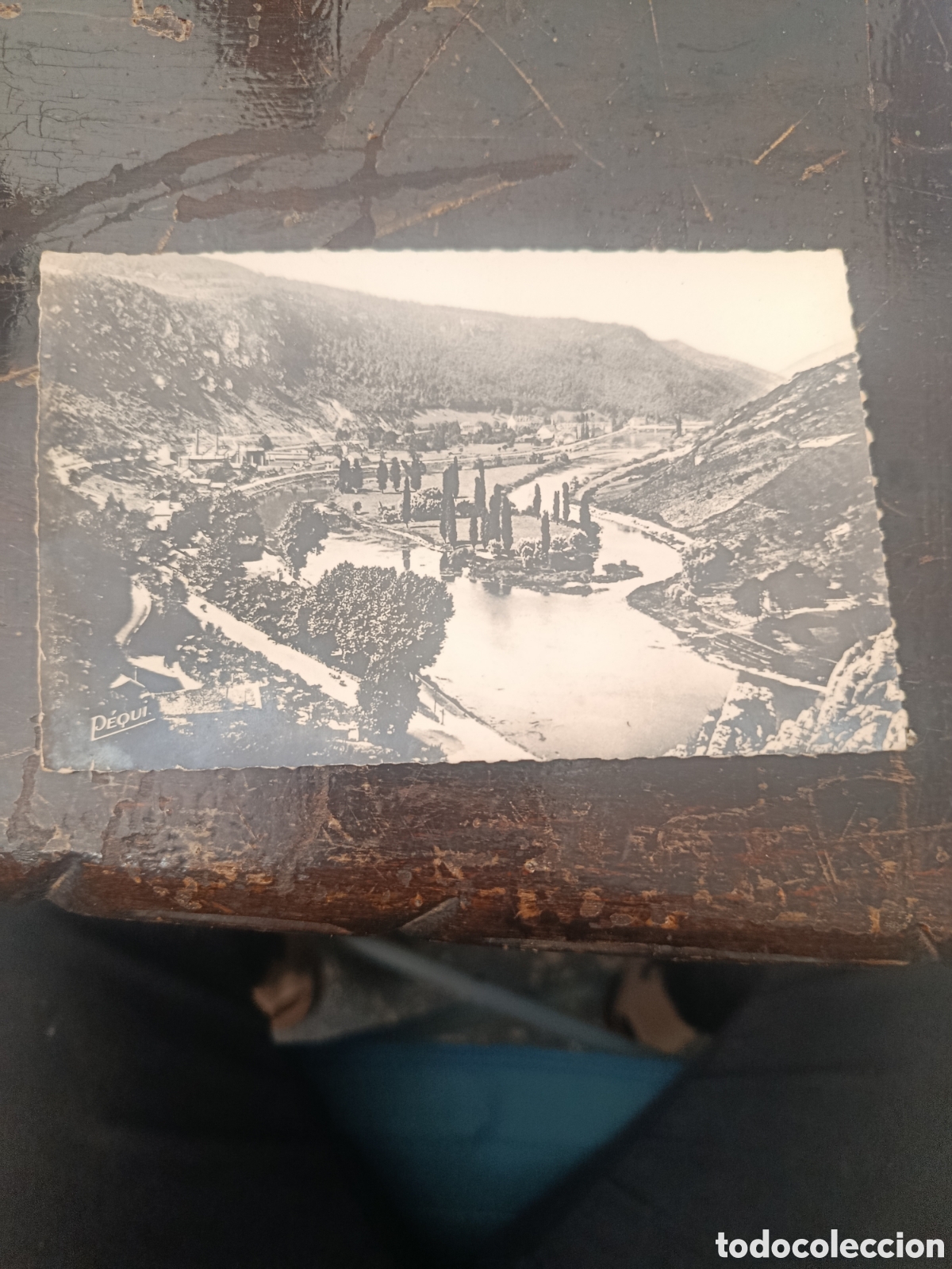 Postales: Postal 100 besan&ccedil;on-les-bains casamene et &ntilde;'ile de malpas