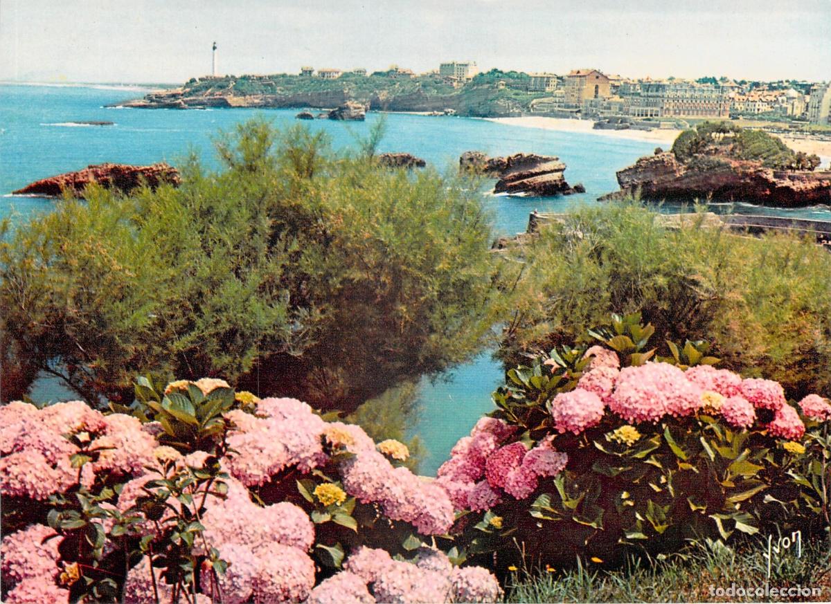Postales: Postal de Biarritz con Hortensias en el Pa&iacute;s Vasco
