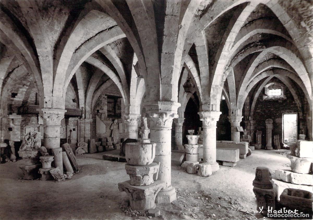 Postales: Postal Provins: La Grange aux D&icirc;mes y Museo Lapidario