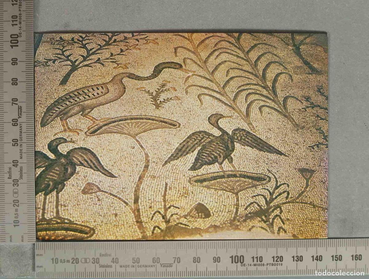 Postales: POSTAL. Mosaico de Tabgha - Iglesia de la Multiplicaci&oacute;n de los Panes y los Peces - Mar de Galilea