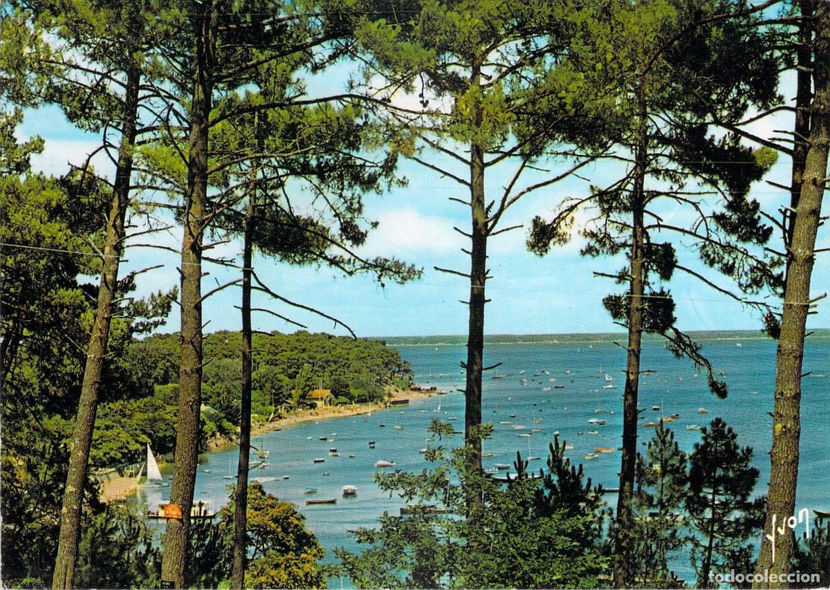 Postales: Postal Bassin d'Arcachon La Pointe aux Chevaux Gironde Francia