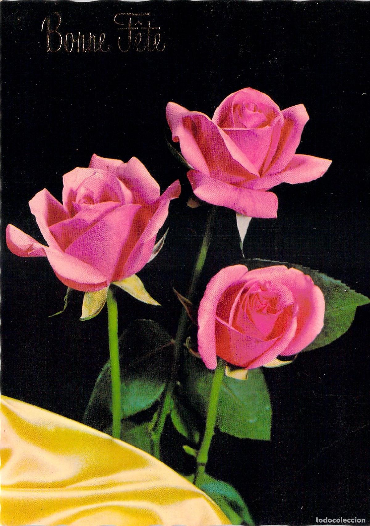 Postkarten: Postal de Felicitaci&oacute;n Bonne F&ecirc;te con Tres Rosas Rosadas