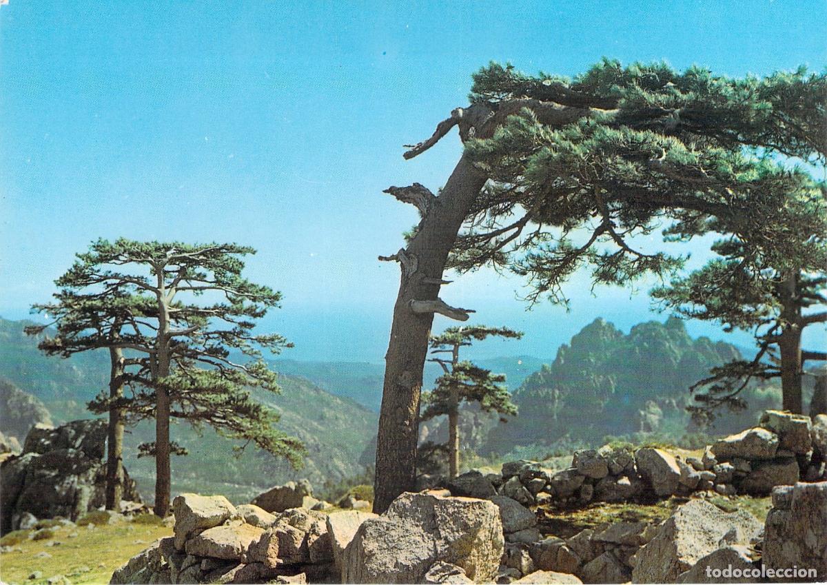 Postais: Postal del Col de Bavella, C&oacute;rcega, Paisaje de Monta&ntilde;a en Francia
