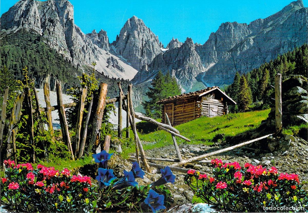 Postkarten: Postal de Axamer Lizum en Tirol con Caba&ntilde;a Alpina y Flores