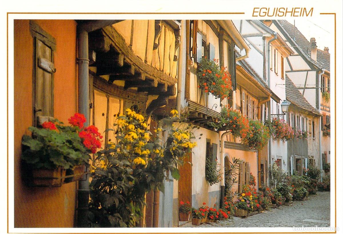 Cartes Postales: Postal de Eguisheim Francia Calle de Entramado de Madera y Flores