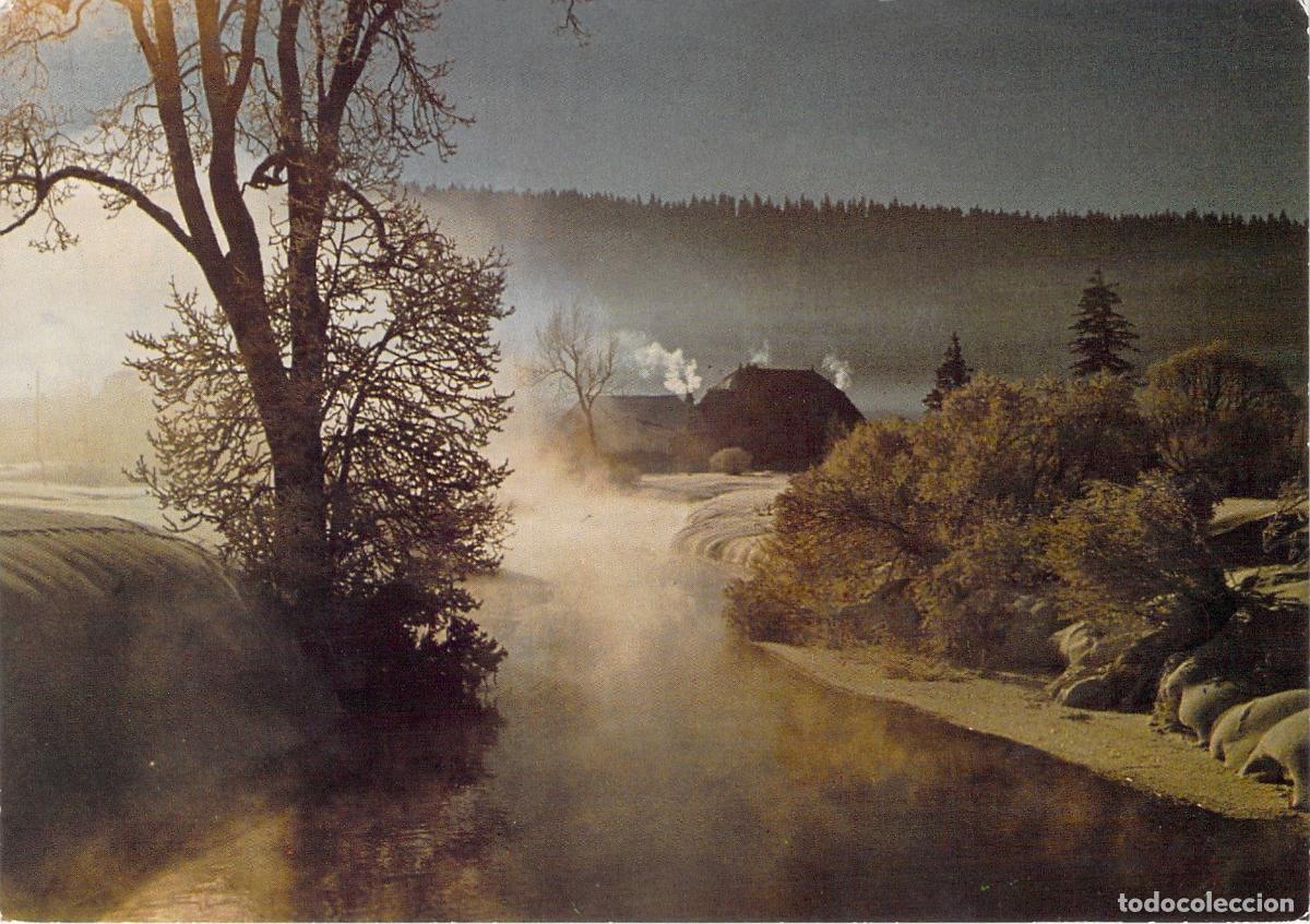 Cartes Postales: Postal de Paisaje Invernal con Niebla Matinal sobre el R&iacute;o, Meg&egrave;ve