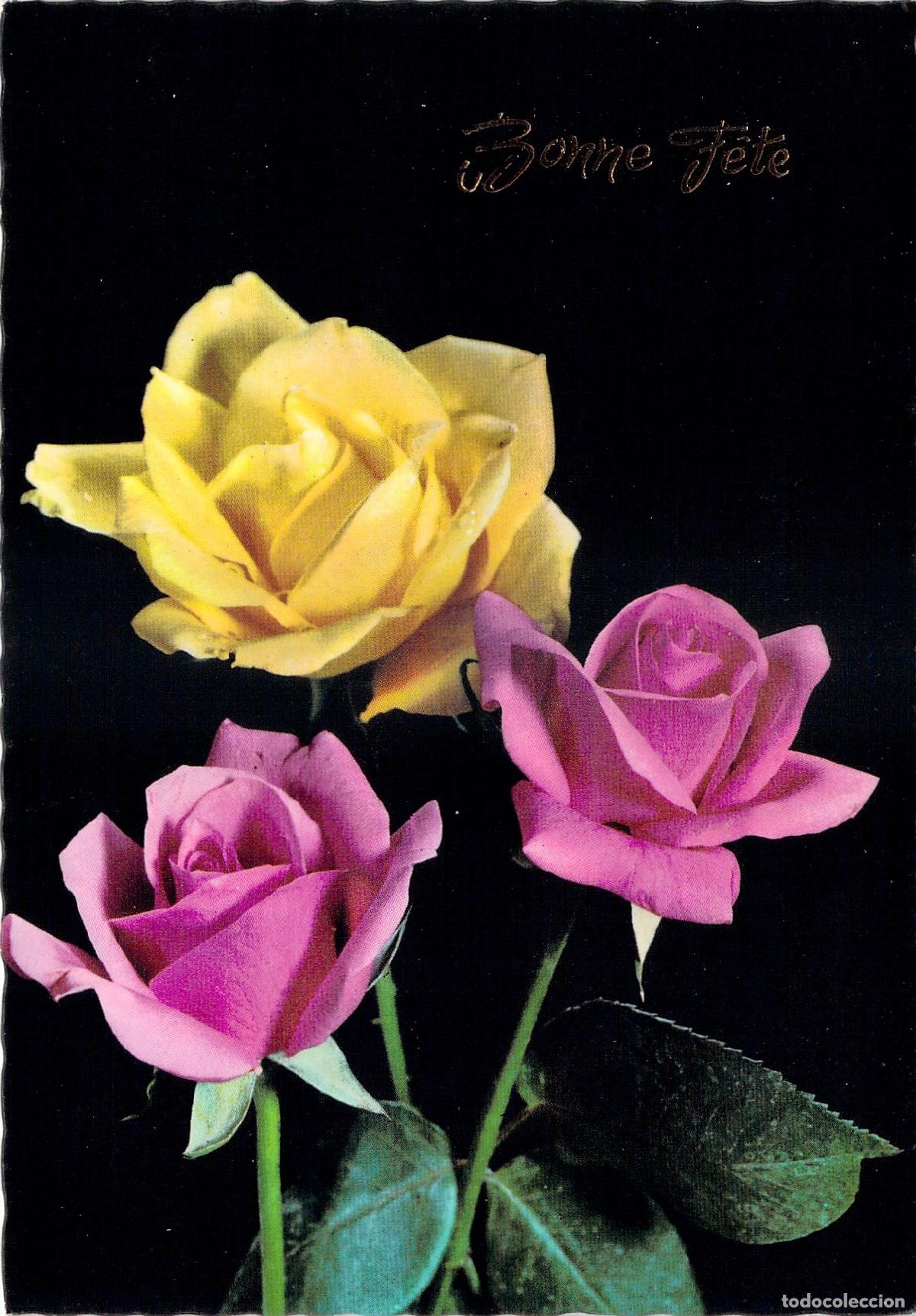 Postkarten: Postal Francesa de Felicitaci&oacute;n con Rosas Bonne F&ecirc;te