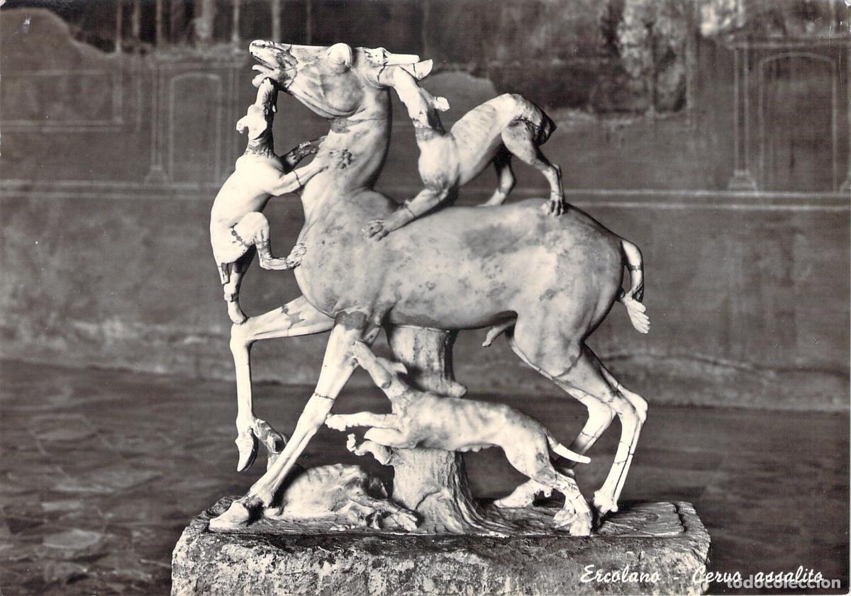 Postkarten: Postal de Ercolano: Escultura de Ciervo Acosado por Perros