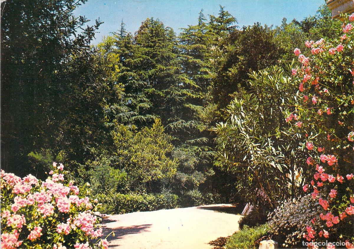 Cartes Postales: Postal de la Gran Avenida del Parque, Villa Excelsior, Cannes