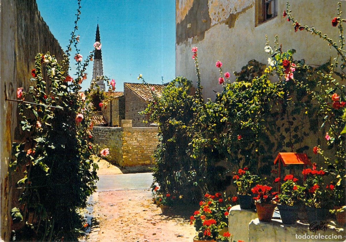 Postales: Postal de Callej&oacute;n con Flores en Ars-en-R&eacute; Francia