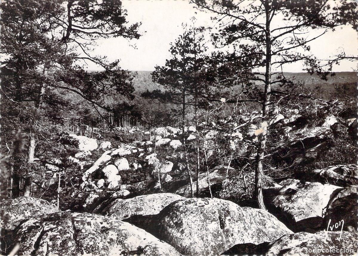 Postales: Postal de Fontainebleau - Gorges d'Apremont