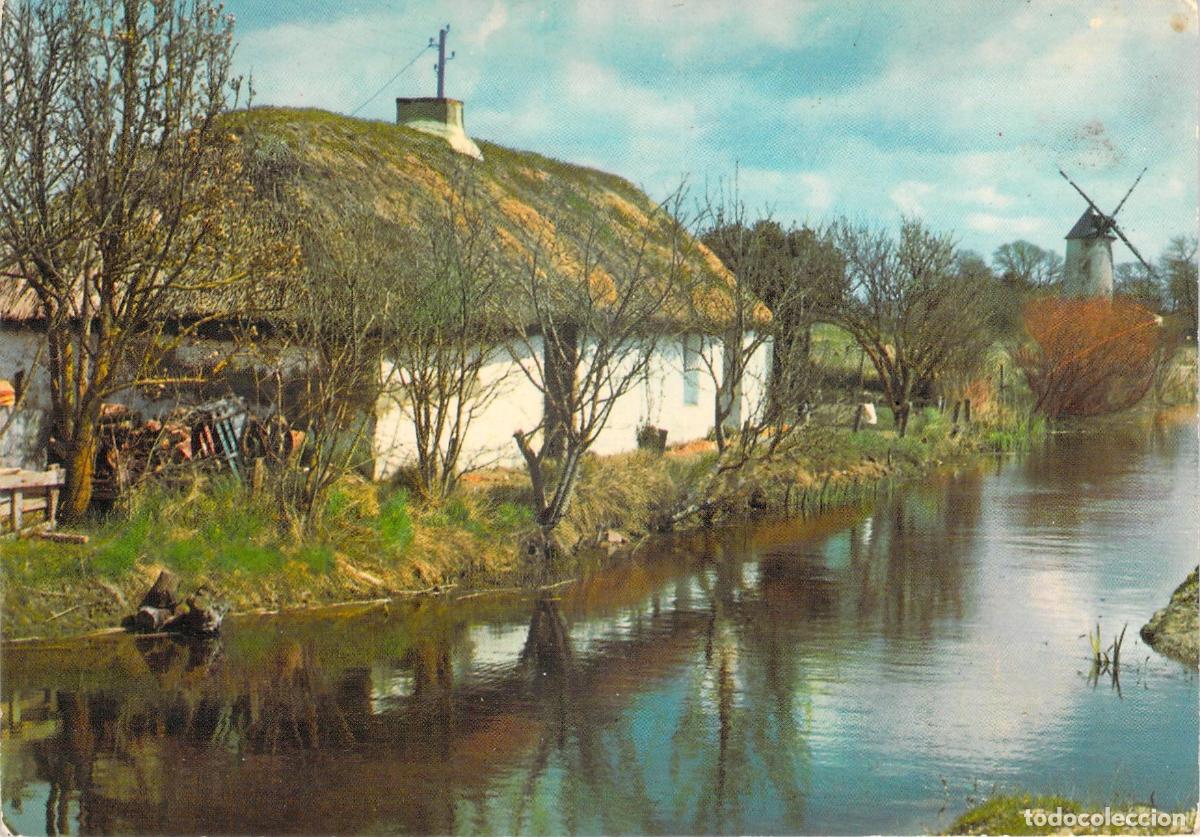 Postales: Postal de Vend&eacute;e Francia Bourrine y Molino de Viento en la Marisma