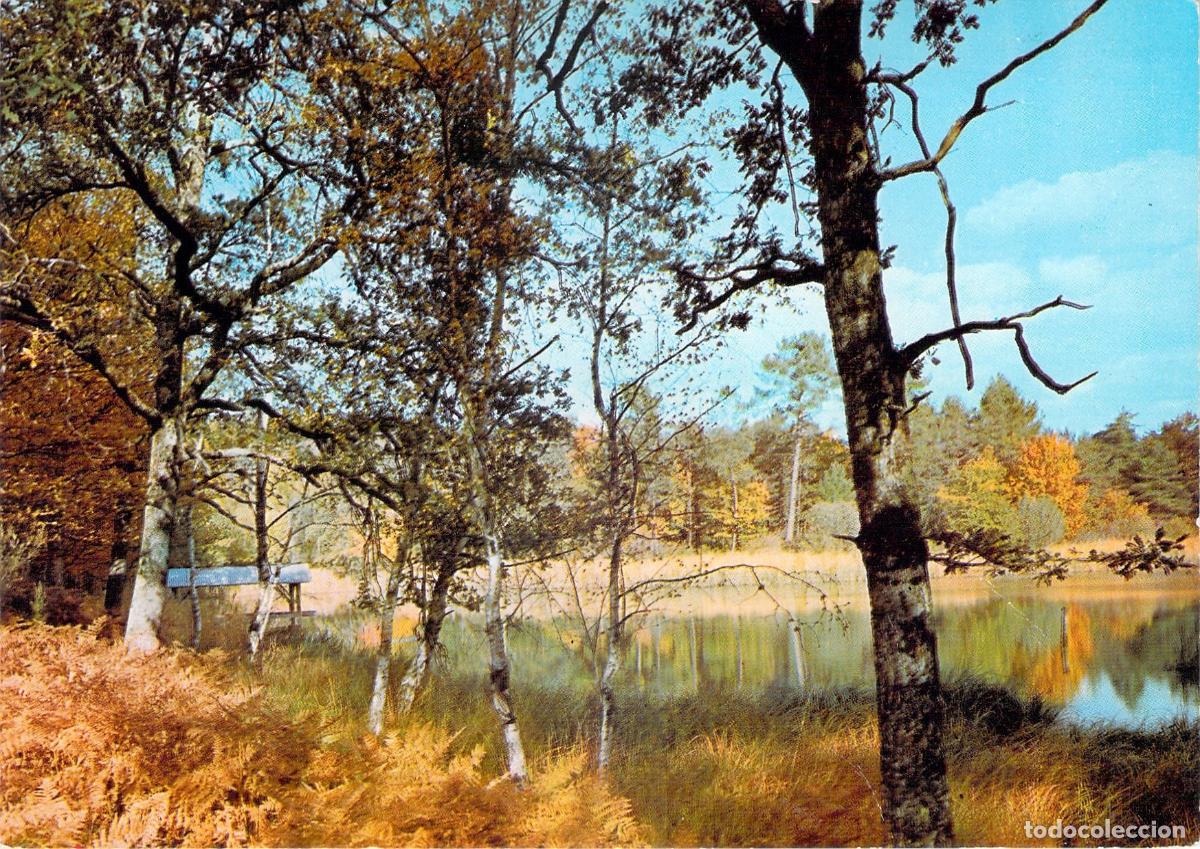 Postkarten: Postal de Paisaje de Oto&ntilde;o Bosques y R&iacute;os de Francia