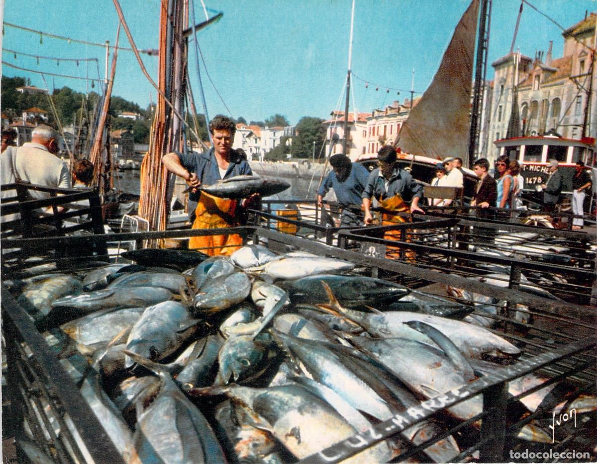 Postkarten: Postal de Saint-Jean-de-Luz, Descarga de At&uacute;n en el Puerto