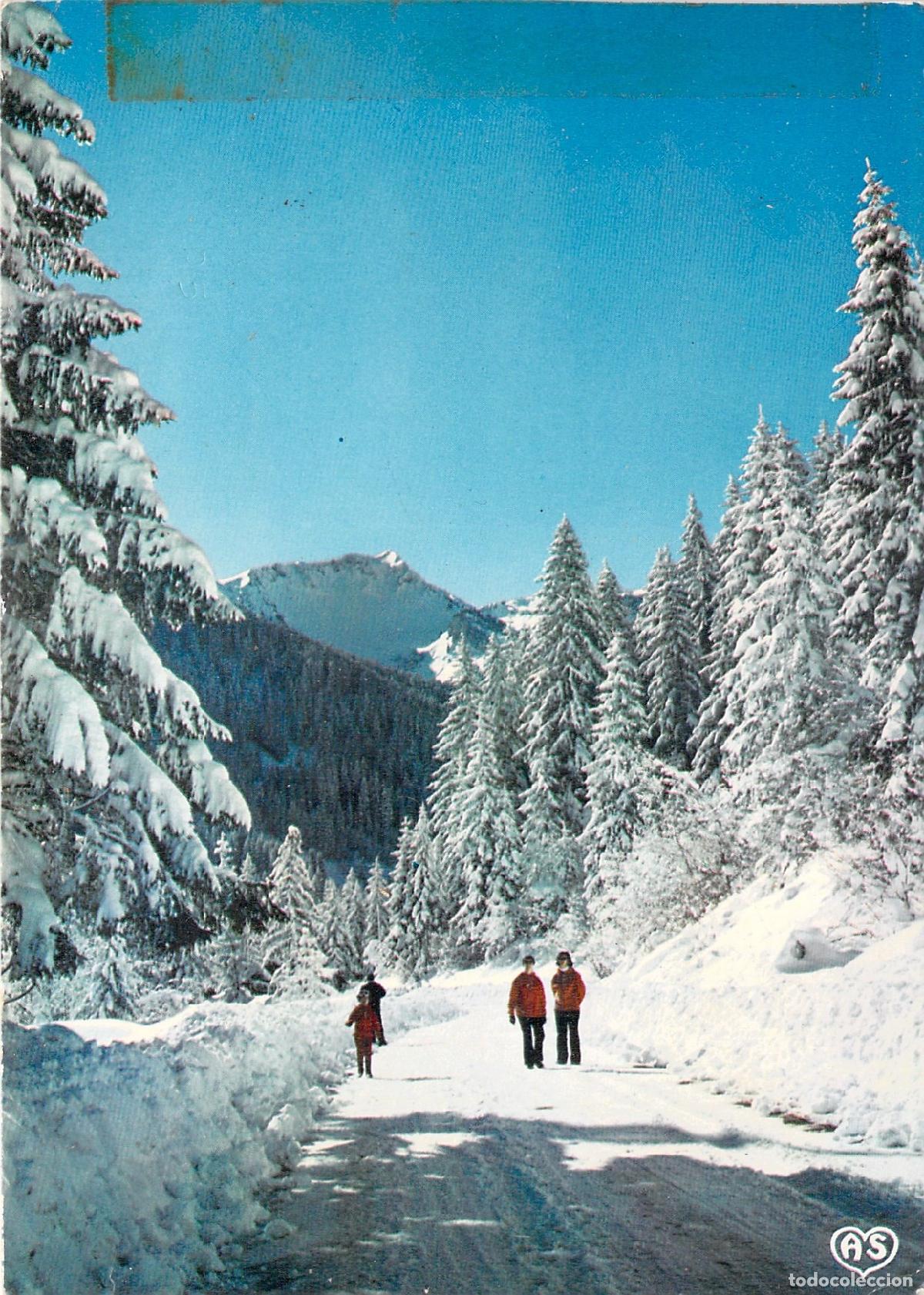 Postkarten: Postal de Paseo de Invierno en los Montes de Cantal