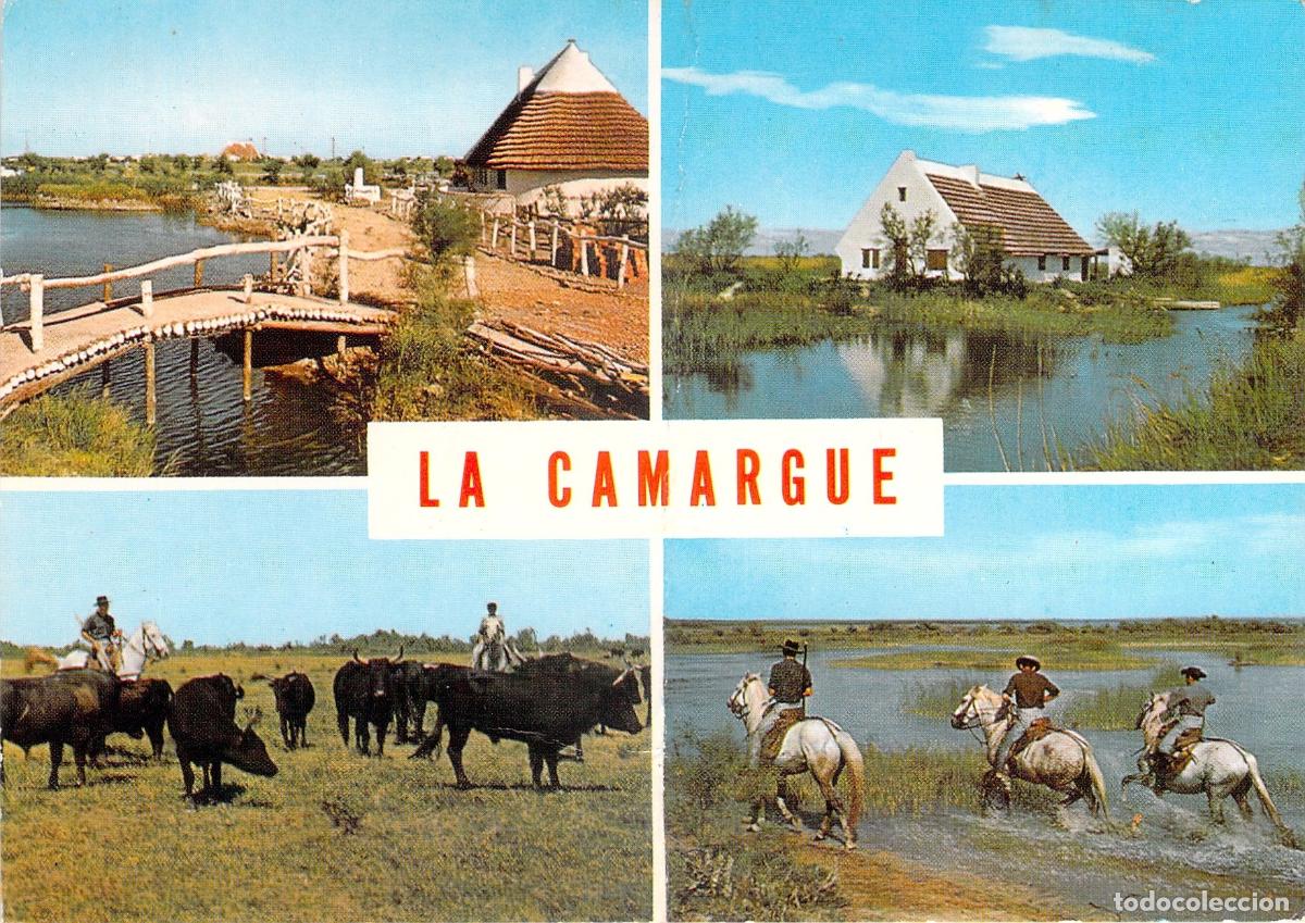 Cartes Postales: Postal de La Camarga con Caballos Toros y Paisajes T&iacute;picos