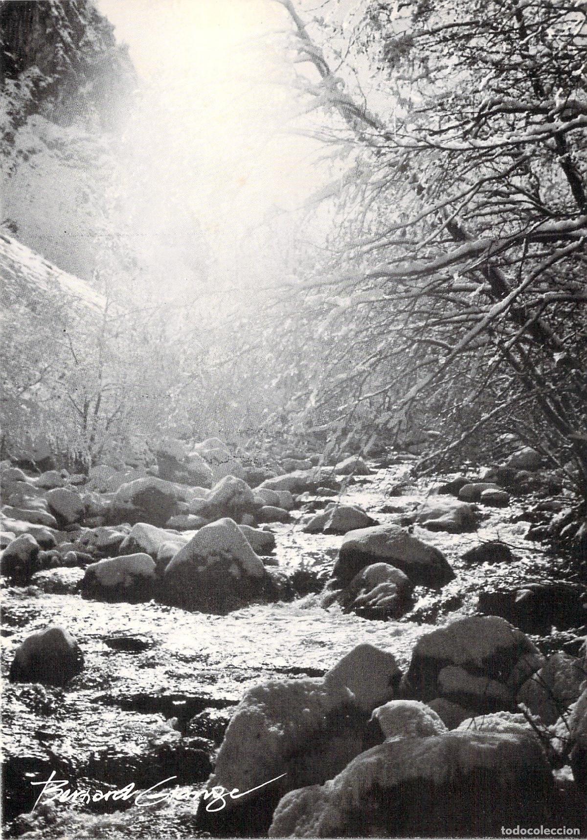 Postales: Postal Art&iacute;stica de Paisaje Invernal F&eacute;&eacute;rie por Bernard Grange