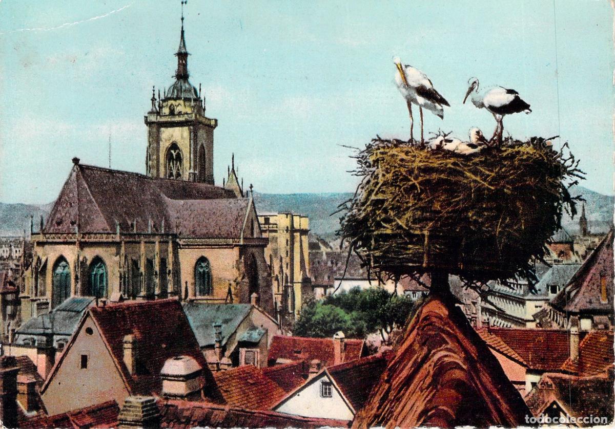 Postales: Postal de Colmar: Nido de Cig&uuml;e&ntilde;as con Vista a la Catedral
