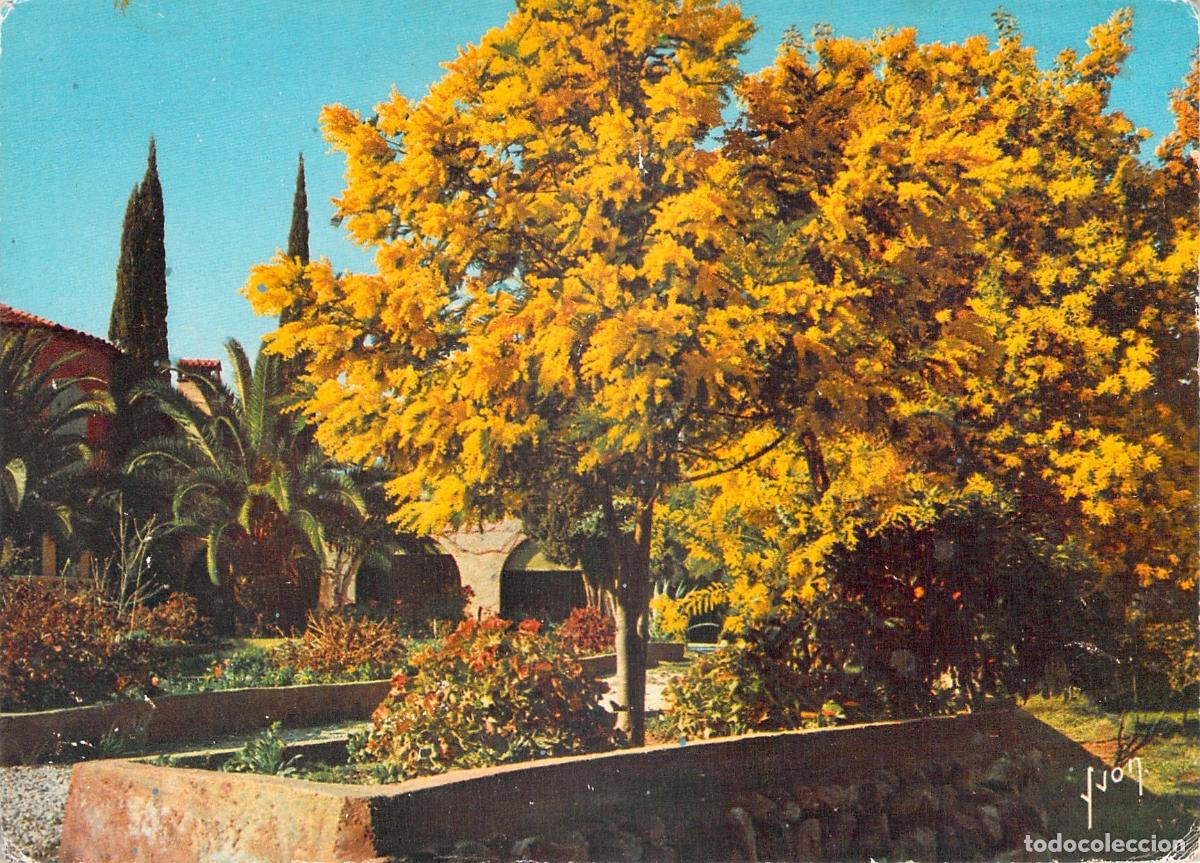 Postkarten: Postal de Saint-Tropez Primavera en la Costa Azul