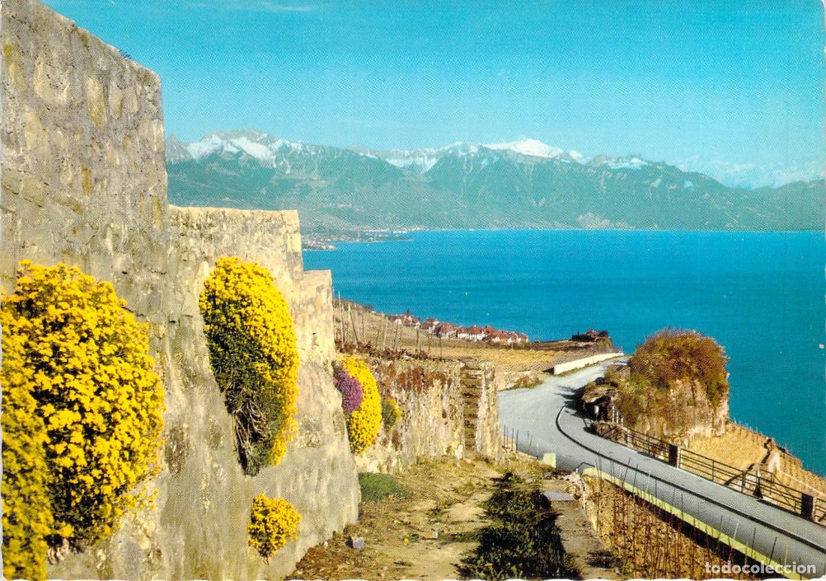 Postkarten: Postal de La Corniche, el Lago Lem&aacute;n y los Alpes en Suiza