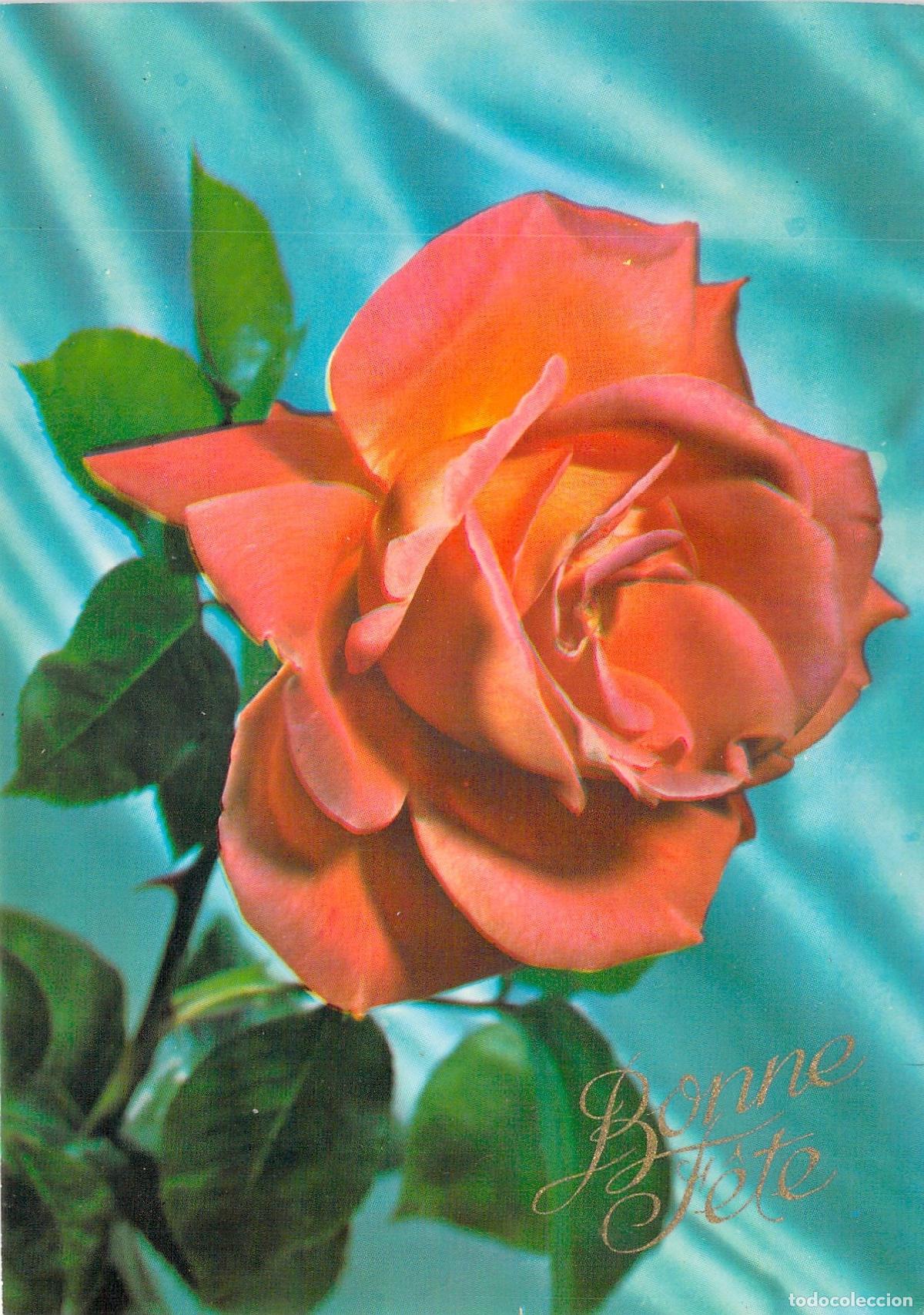 Postkarten: Postal Francesa de Felicitaci&oacute;n Bonne F&ecirc;te con Rosa Naranja