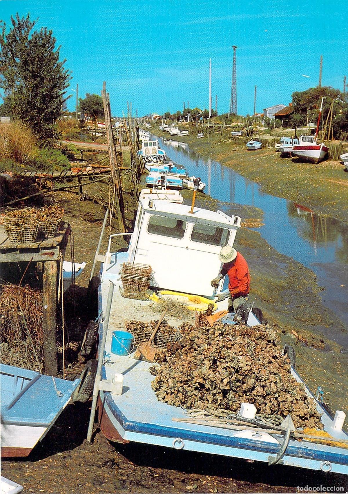 Postales: Postal de Ostricultor Trabajando en el Canal de La Tremblade