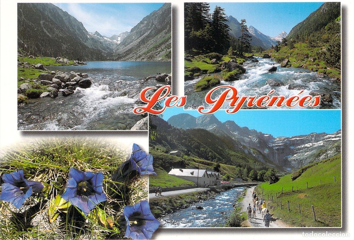 Postales: Postal Multifoto de los Pirineos Franceses con Vistas de Monta&ntilde;a y Flores