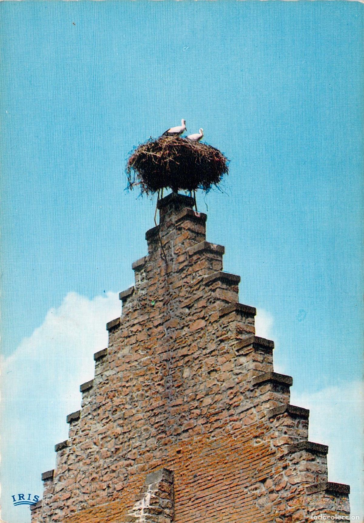 Postales: Postal de Alsacia Pintoresca con Nido de Cig&uuml;e&ntilde;as en Tejado