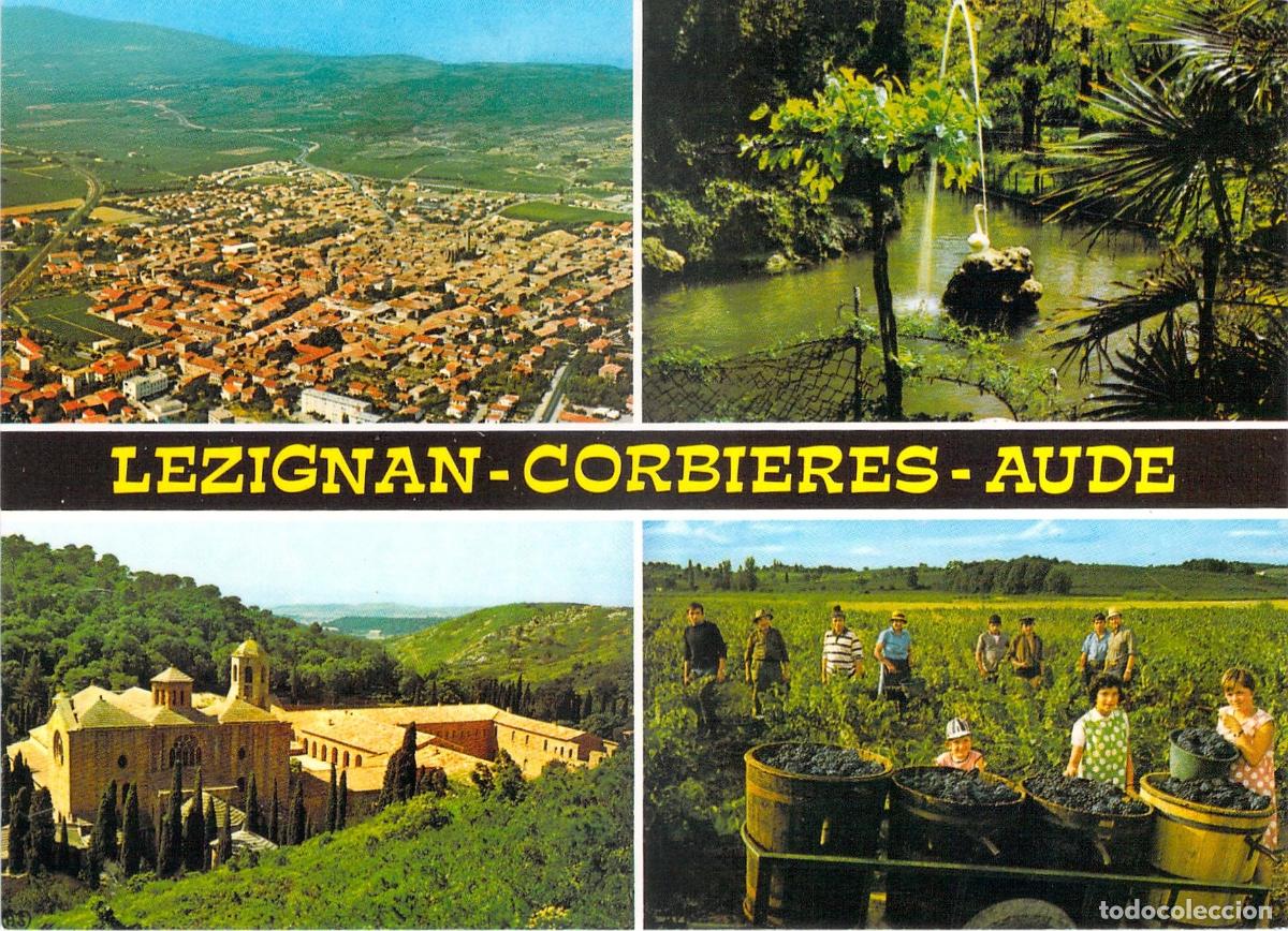 Postkarten: Postal de L&eacute;zignan-Corbi&egrave;res, Aude: Vistas y Vendimia