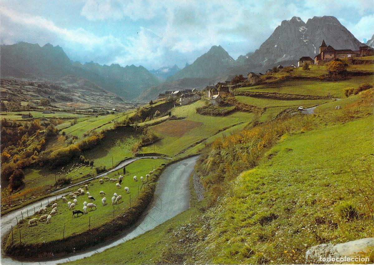 Cartes Postales: Postal de los Pirineos con Ovejas en el Col d'Aspin, Francia