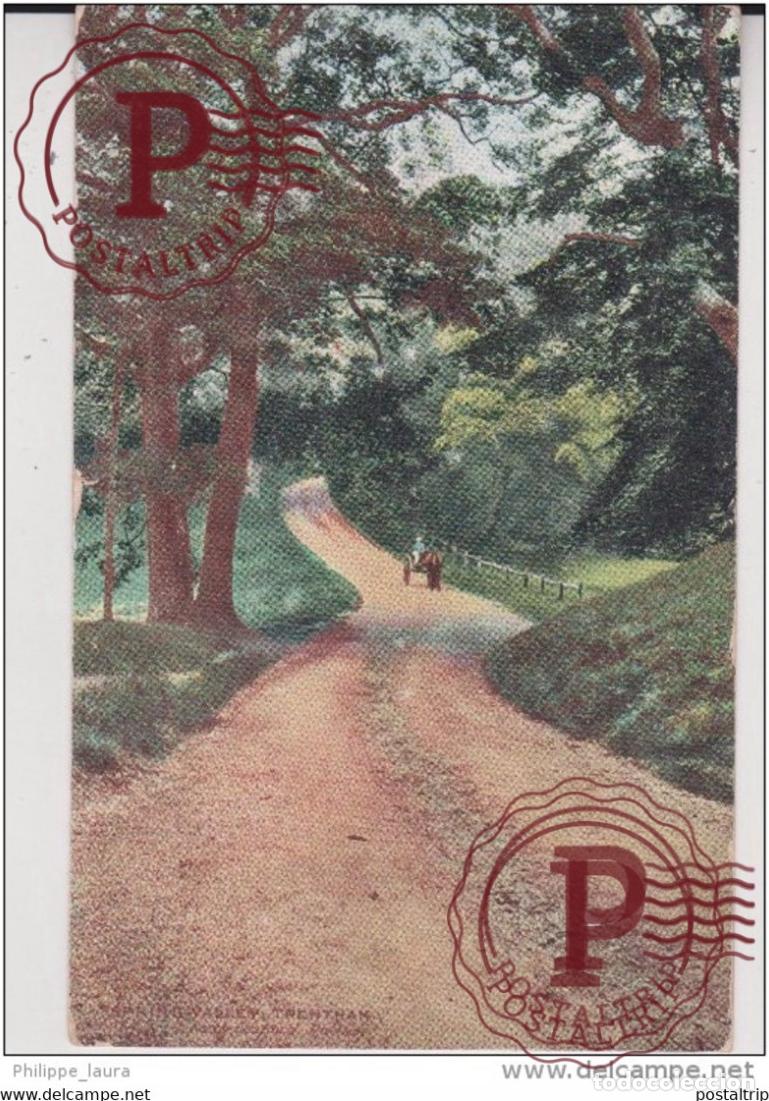 Cartes Postales: SPRING VALLEY. TRENTHAM. NORTH STAFFORDSHIRE RAILWAY