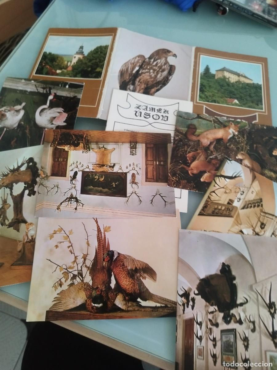 Postales: Colecci&oacute;n de antiguas tarjetas postales del Castillo de &Uacute;sov en la Rep&uacute;blica Checa.