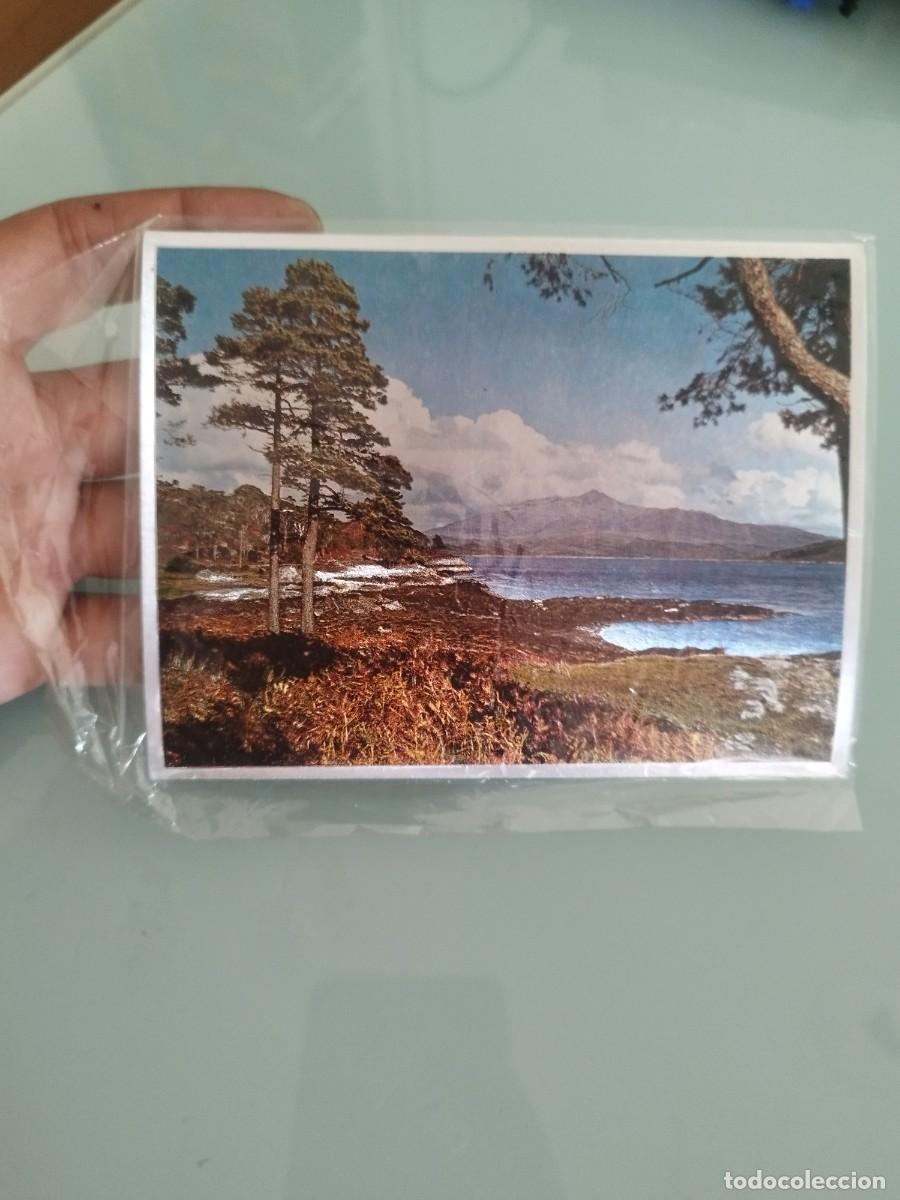 Postales: Antigua tarjeta postal vista del Kenmare River en Irlanda. Con detalles brillantes.
