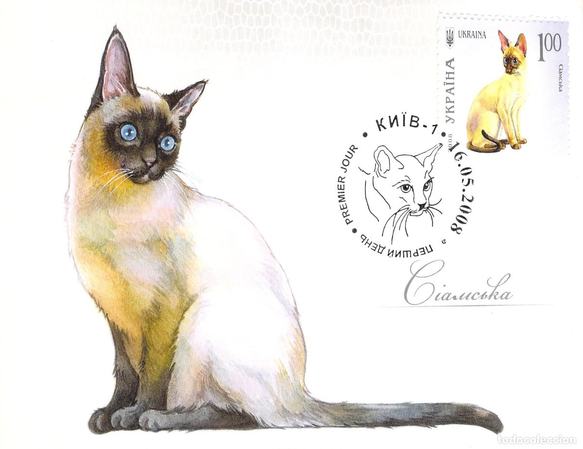 Postales: Postal Tarjeta M&aacute;xima de Gato Siam&eacute;s con Sello de Ucrania