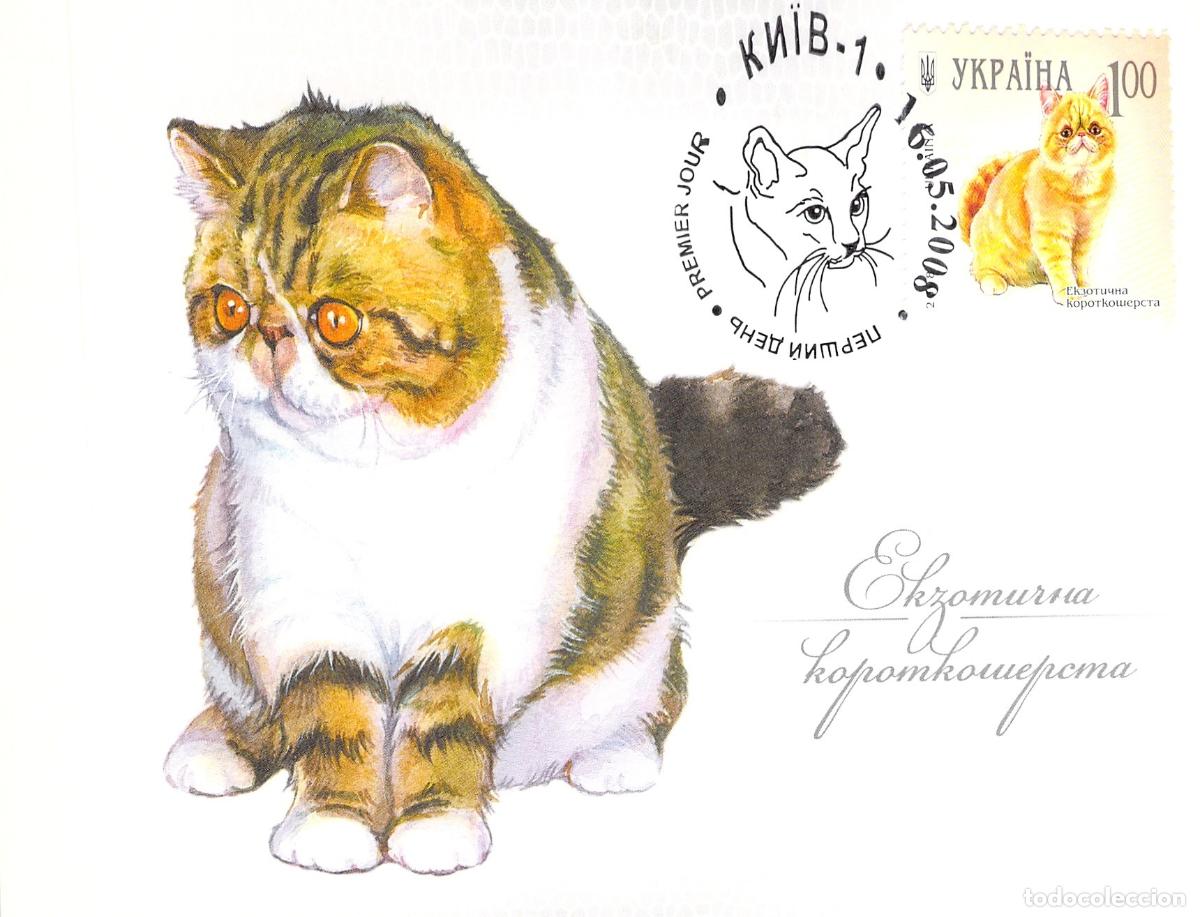 Postales: Postal de Gato Ex&oacute;tico de Pelo Corto con Matasellos de Ucrania