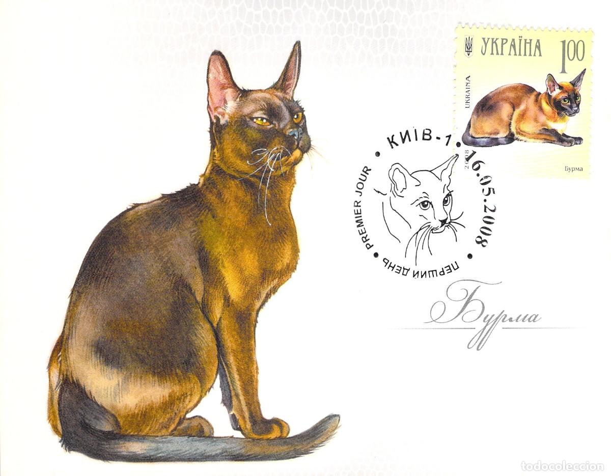 Postales: Tarjeta Postal de Gato Burm&eacute;s con Sello de Primer D&iacute;a de Ucrania