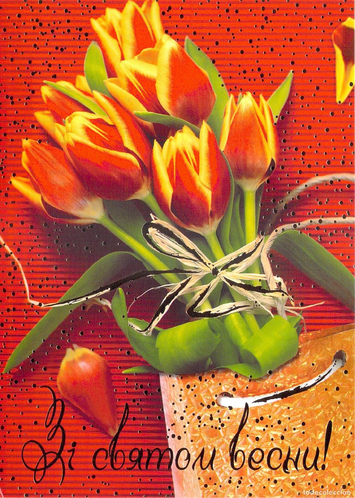 Postales: Postal de Felicitaci&oacute;n de Primavera con Tulipanes de Ucrania