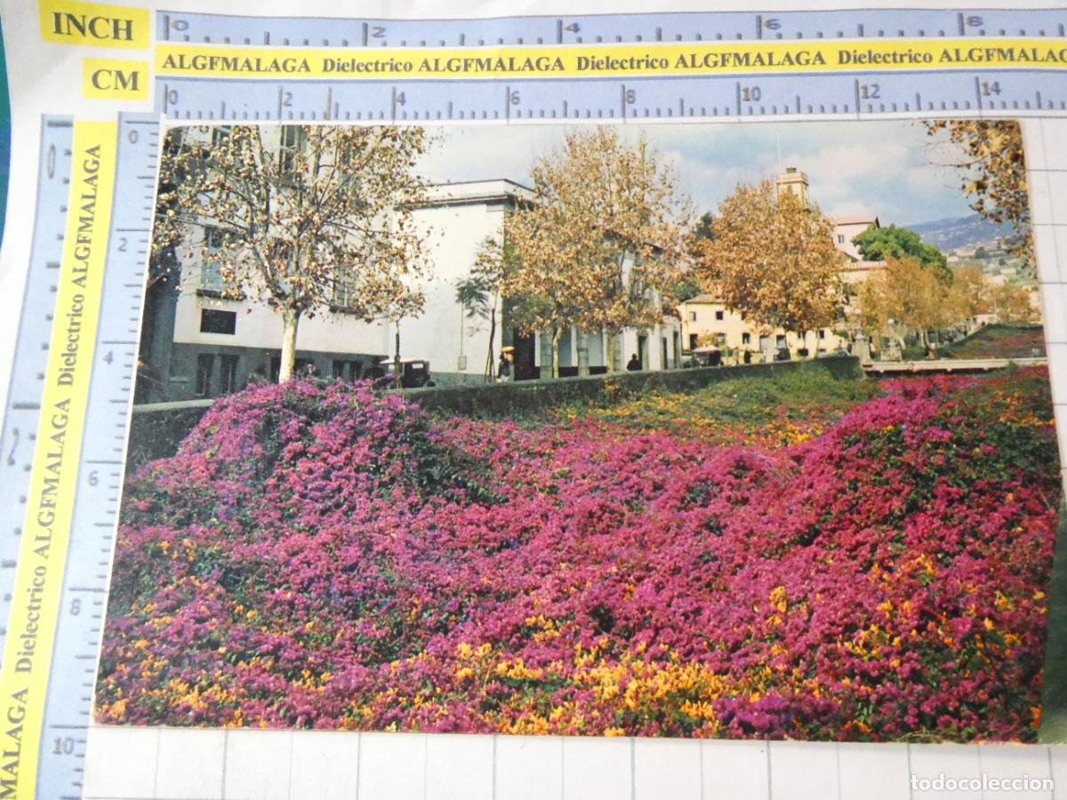 Postales: POSTAL DE PORTUGAL. MADEIRA FUNCHAL BUGANVILLAS. 2624