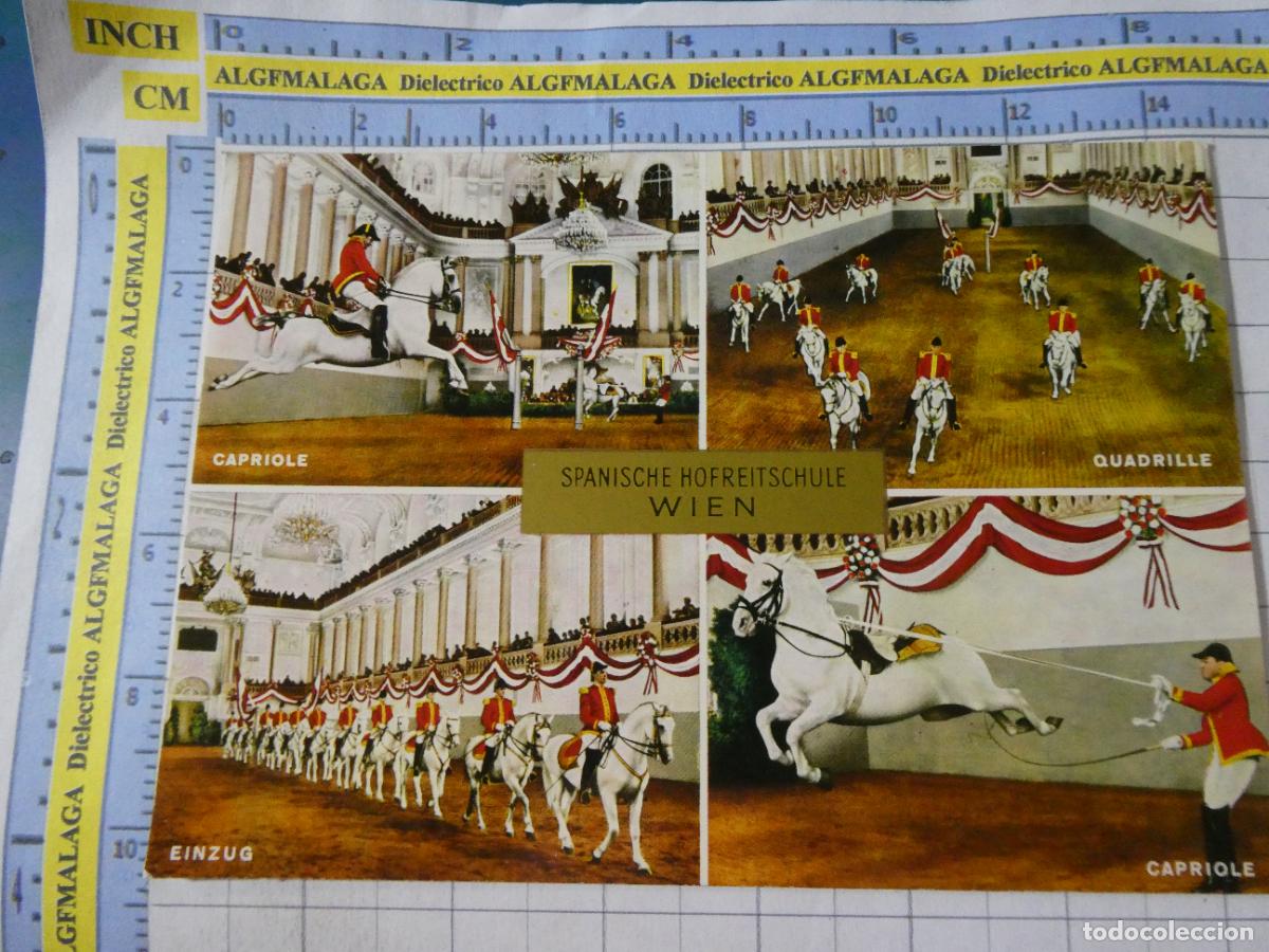 Postales: POSTAL DE AUSTRIA. VIENA ESCUELA ESPA&Ntilde;OLA EQUITACI&Oacute;N SPANISCHE HOFREITSCHULE. 2644