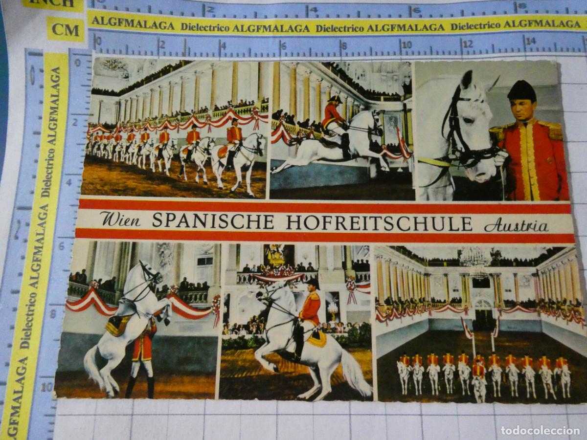 Postales: POSTAL DE AUSTRIA. VIENA ESCUELA ESPA&Ntilde;OLA EQUITACI&Oacute;N SPANISCHE HOFREITSCHULE. 2659